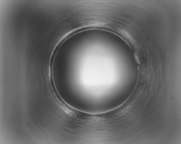 X0000070431324200606161454