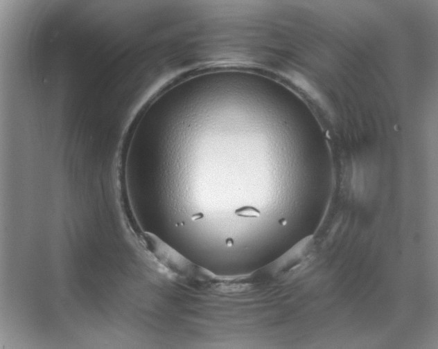 X0000070431325200606161454