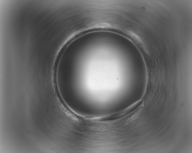 X0000070431326200606161454