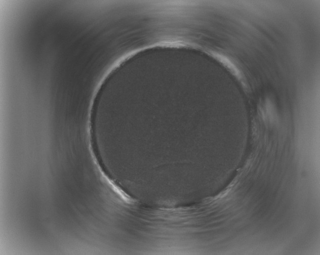 X0000070431327200606161454