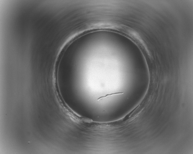 X0000070431328200606161454