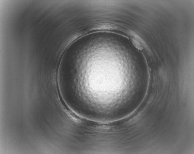 X0000070431329200606161454