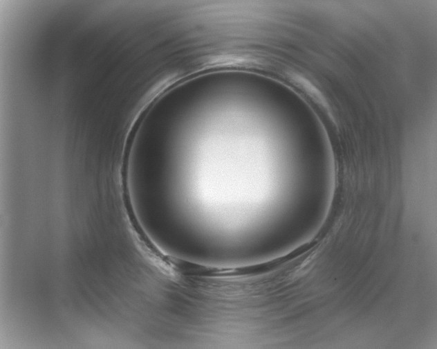 X0000070431330200606161454