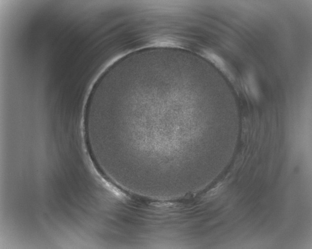 X0000070431331200606161454