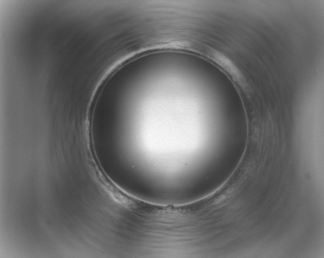 X0000070431332200606161454