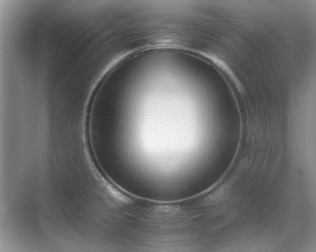 X0000070431333200606161454