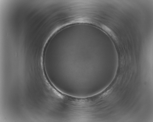 X0000070431334200606161454