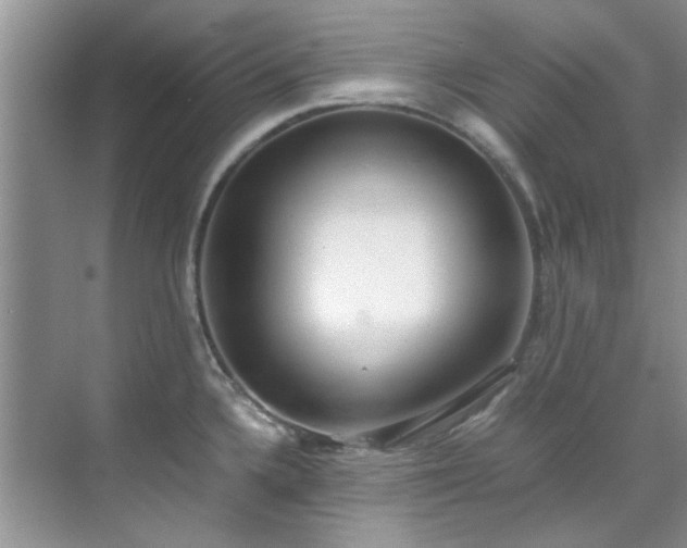 X0000070431336200606161454