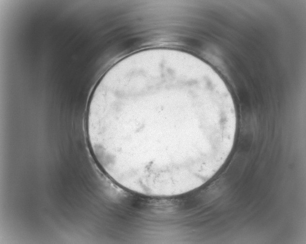 X0000070431338200606161454