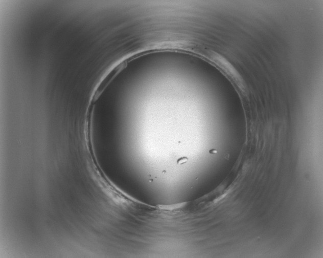 X0000070431340200606161454