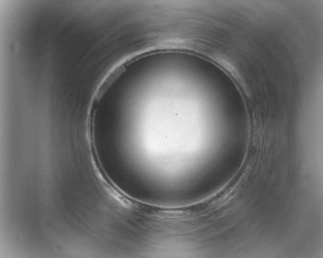 X0000070431342200606161454