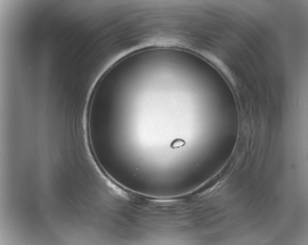 X0000070431343200606161454