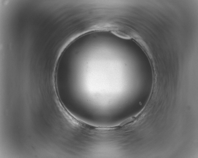 X0000070431344200606161454