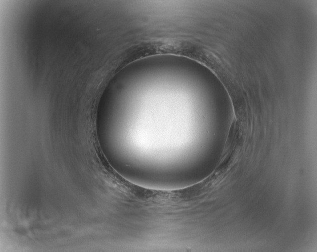 X0000070431345200606161453