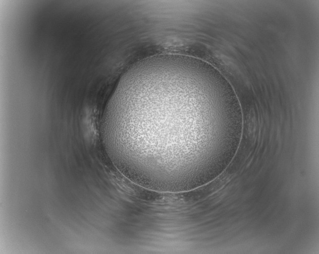 X0000070431346200606161453