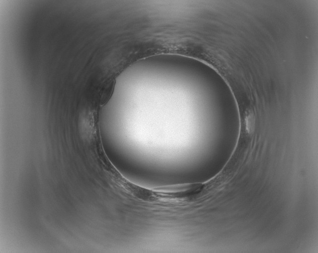 X0000070431347200606161453