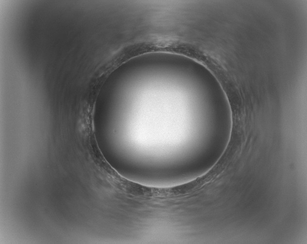 X0000070431349200606161453