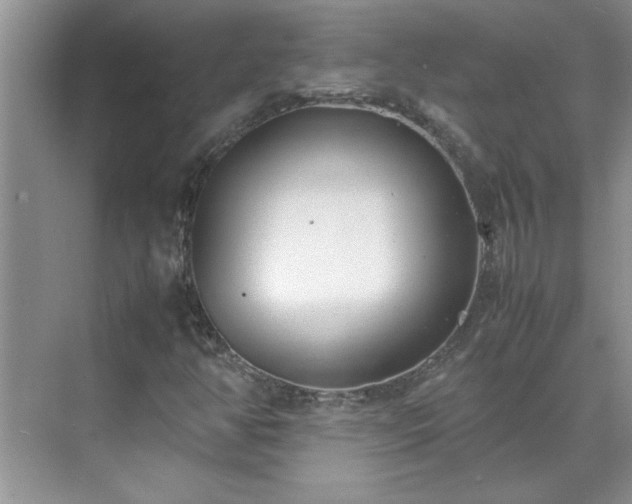 X0000070431350200606161453