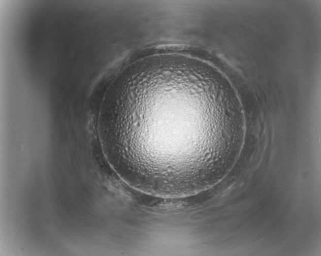 X0000070431351200606161453