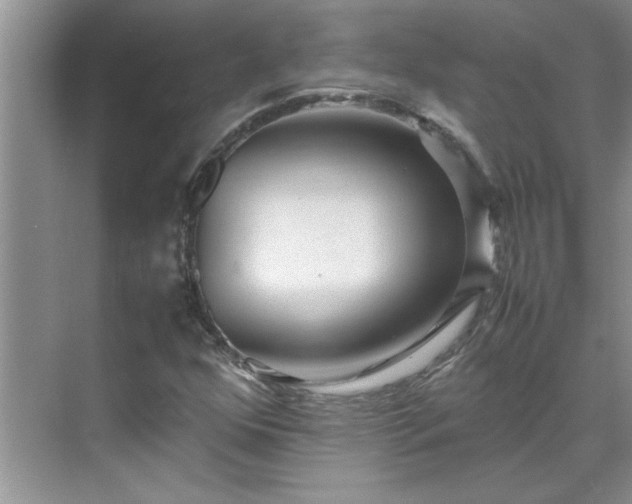 X0000070431352200606161453