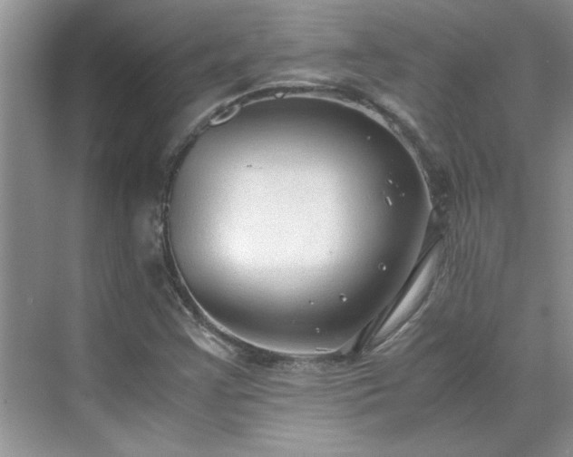 X0000070431355200606161453