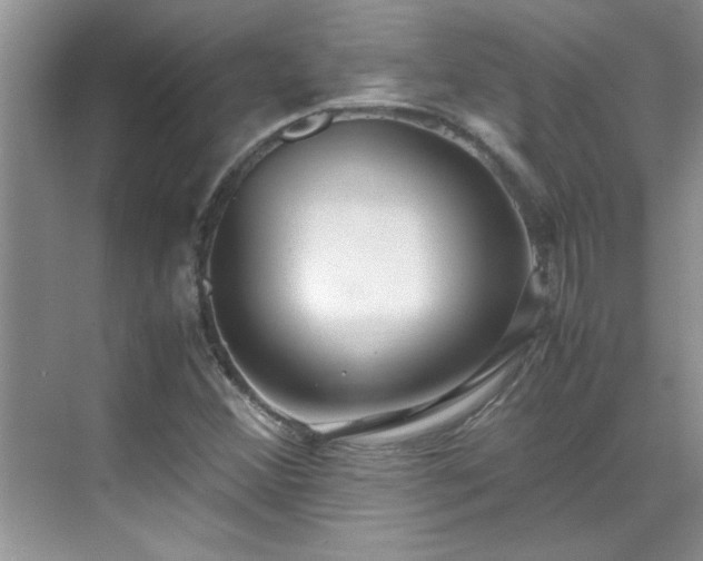 X0000070431356200606161453