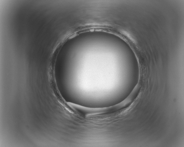 X0000070431357200606161453