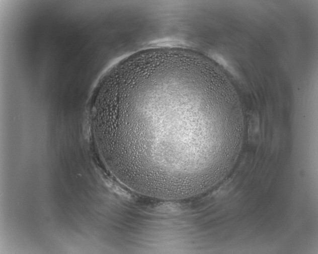 X0000070431358200606161453