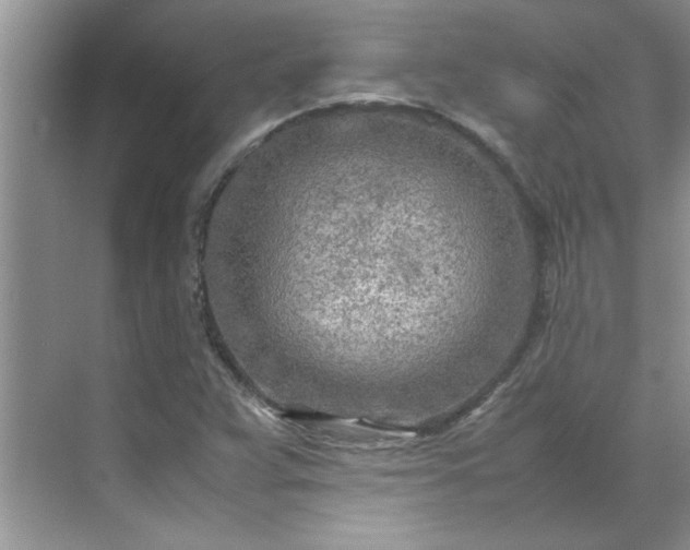 X0000070431359200606161453