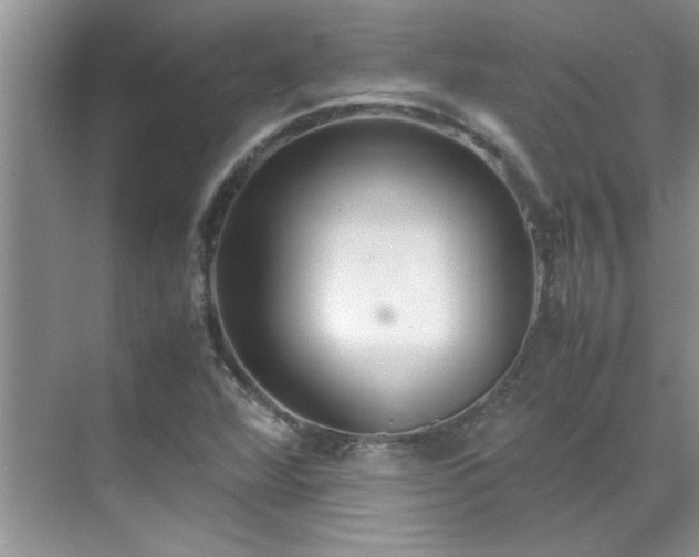 X0000070431360200606161453