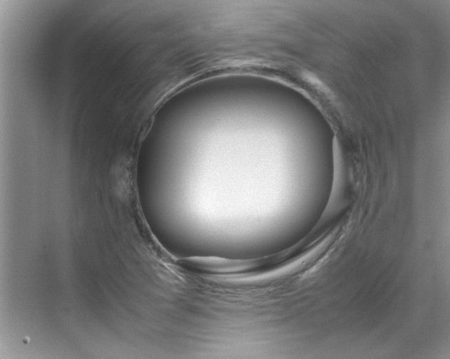 X0000070431361200606161453