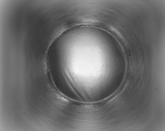 X0000070431362200606161453