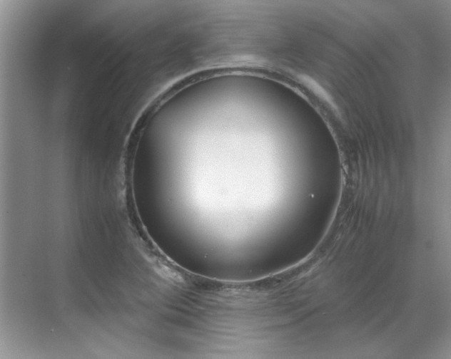 X0000070431364200606161453