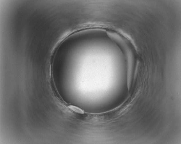 X0000070431365200606161453