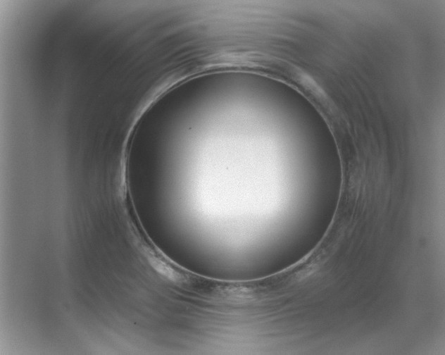 X0000070431370200606161453