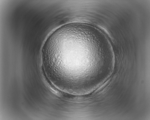 X0000070431371200606161453