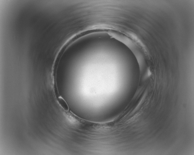 X0000070431372200606161453