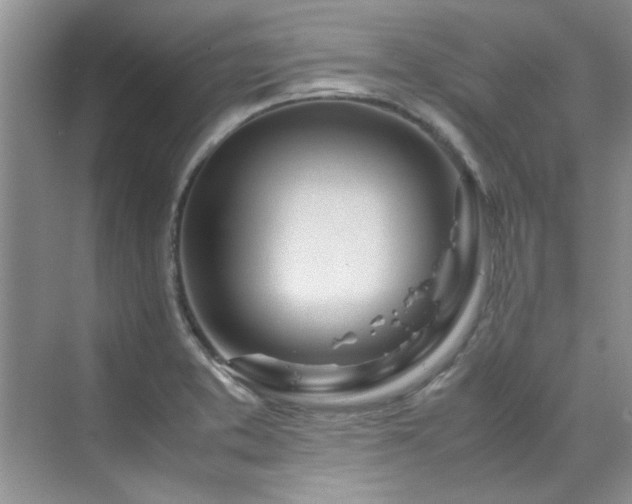 X0000070431373200606161453