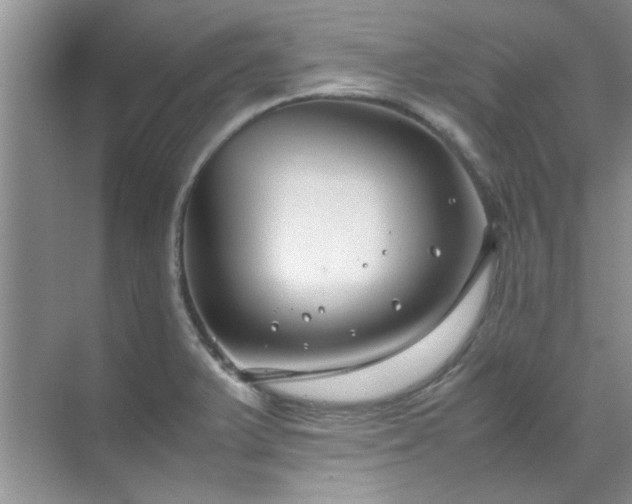 X0000070431375200606161453