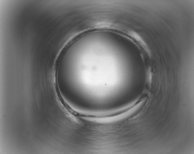 X0000070431376200606161453