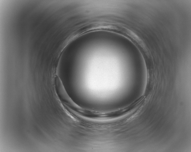 X0000070431377200606161453