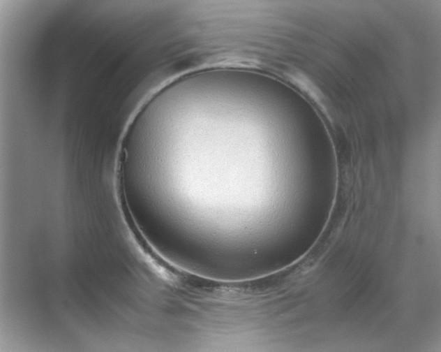 X0000070431379200606161453