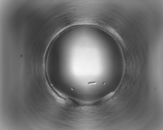 X0000070431380200606161453