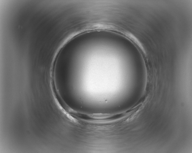 X0000070431381200606161453