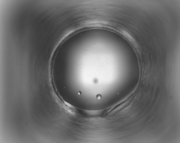 X0000070431384200606161453