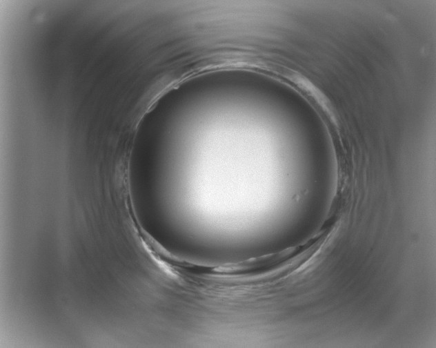 X0000070431385200606161453