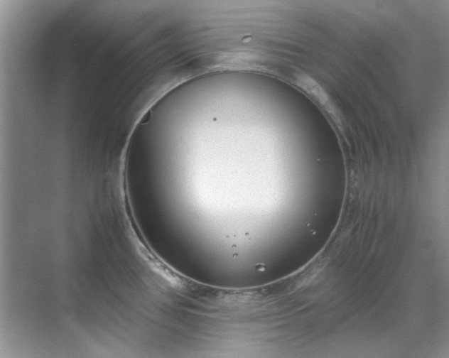 X0000070431386200606161453