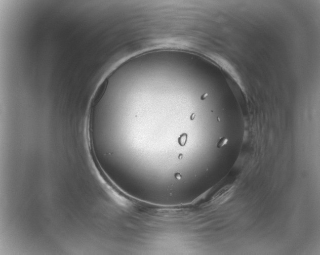 X0000070431391200606161452