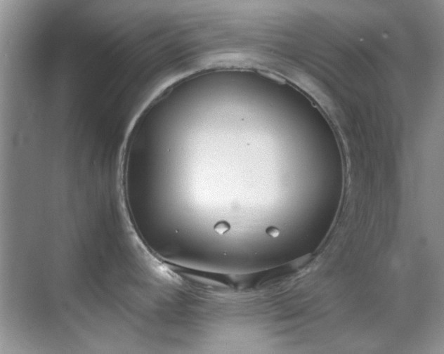 X0000070431392200606161452