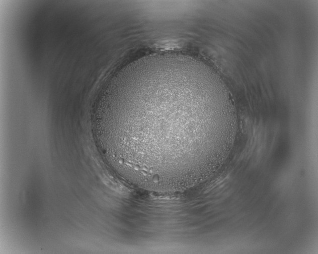 X0000070431393200606161452